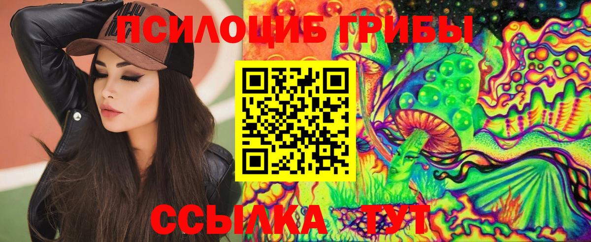 Галлюциногенные грибы Psilocybe Конаково