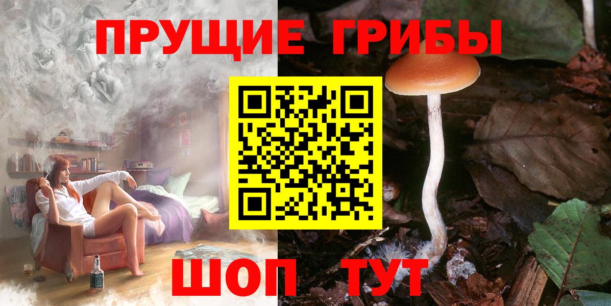 Псилоцибиновые грибы мицелий  Вход с VPN  Конаково  Псилоцибиновые грибы GOLDEN TEACHER 